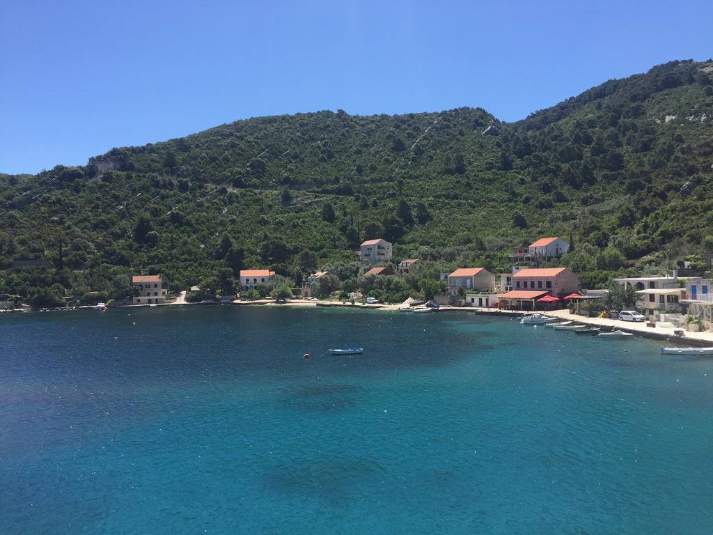 Evita Apartament