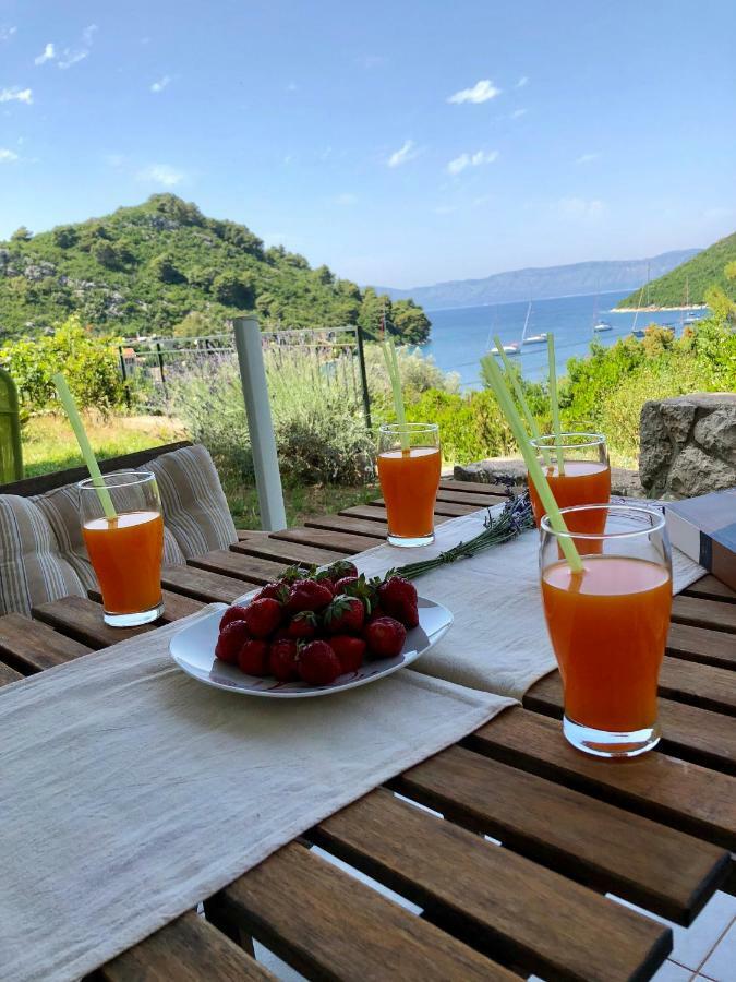 Evita Apartament Prožura